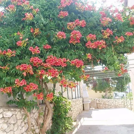 Mit Balkon Und Herrlichem Meerblick Apartment Trogir